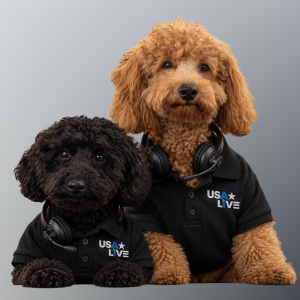 Home 47 Teddy & Leo